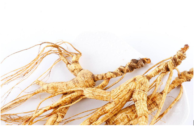 人參和什么一起燉既有營養又好吃-易網健康<a href=http://www.xllyou.com/jkys/ target=_blank class=infotextkey>養生</a>網 人參和什么一起燉既有營養又好吃