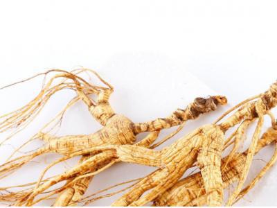 人參和什么一起燉既有營養又好吃