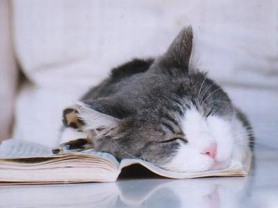 睡覺的時候出現壓的肩膀疼情況原因