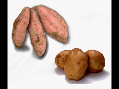 地瓜和土豆的區別以及他們的營養價值