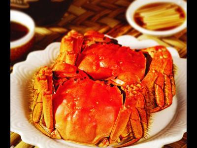 感冒咳嗽的時(shí)候能不能食用大閘蟹