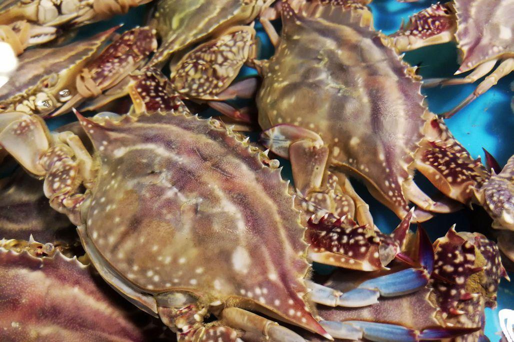 香辣梭子蟹的用料以及梭子蟹的做法