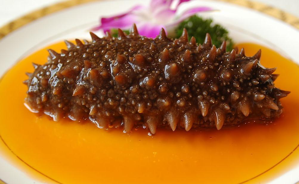 海參有哪些<a href=http://www.xllyou.com/jkys/ target=_blank class=infotextkey>養生</a>功效海參的十大功效-易網<a href=http://www.xllyou.com/ target=_blank class=infotextkey>健康養生</a>網 海參有哪些養生功效海參的十大功效