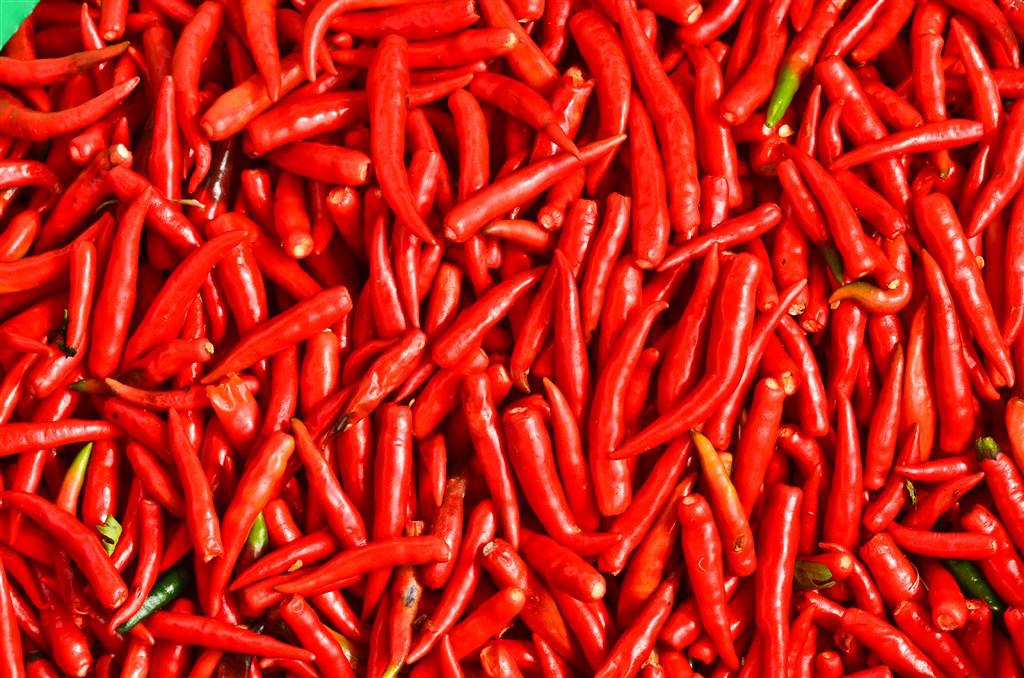 喜歡吃辣椒的人身體屬于哪種體質-易網健康<a href=http://www.xllyou.com/jkys/ target=_blank class=infotextkey>養生</a>網 喜歡吃辣椒的人身體屬于哪種體質