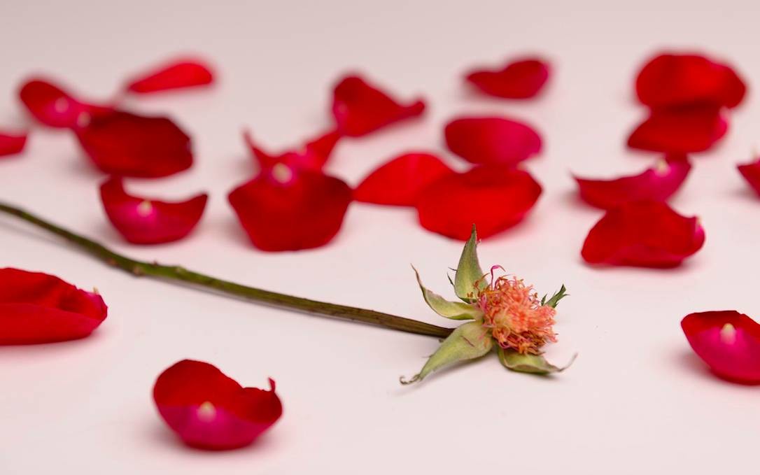 女性比較容易出現氣血虧損的情況-易網健康<a href=http://www.xllyou.com/jkys/ target=_blank class=infotextkey>養生</a>網 女性比較容易出現氣血虧損的情況