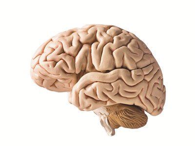 想要保持自己的大腦健康這些食物不能吃