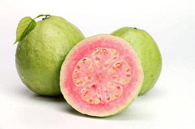 芭樂的營養成份以及芭樂的正確吃法-易網健康<a href=http://www.xllyou.com/jkys/ target=_blank class=infotextkey>養生</a>網 芭樂的營養成份以及芭樂的正確吃法