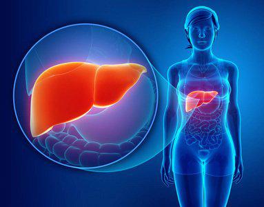 男性肝臟不好具體由哪些方面的表現-易網健康<a href=http://www.xllyou.com/jkys/ target=_blank class=infotextkey>養生</a>網 男性肝臟不好具體由哪些方面的表現