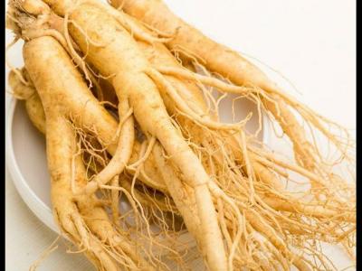 野人參應該如何服用藥用效果最好