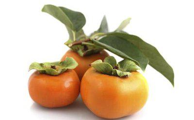 吃柿子需要注意哪些方面飯后能吃柿子嗎-易網健康<a href=http://www.xllyou.com/jkys/ target=_blank class=infotextkey>養生</a>網 吃柿子需要注意哪些方面飯后能吃柿子嗎