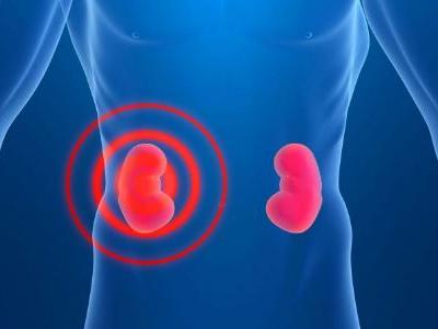 出現(xiàn)這四種現(xiàn)象可能你的腎臟已經(jīng)透支