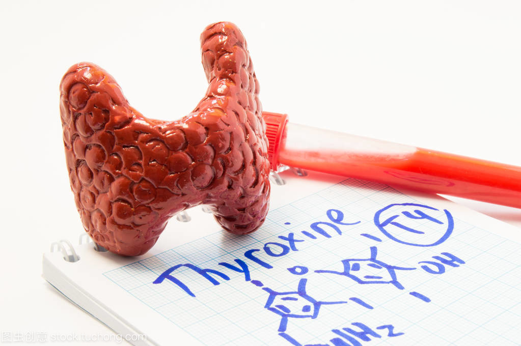 甲狀腺激素的正常值范圍區間是多少-易網健康<a href=http://www.xllyou.com/jkys/ target=_blank class=infotextkey>養生</a>網 甲狀腺激素的正常值范圍區間是多少