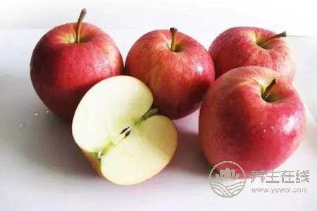 蘋果有什么好處?蘋果作用是什么?-易網健康<a href=http://www.xllyou.com/jkys/ target=_blank class=infotextkey>養生</a>網 蘋果有什么好處?蘋果作用是什么?