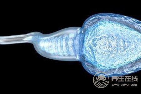 精子有什么好處?精子有什么功效?-易網(wǎng)<a href=http://www.xllyou.com/ target=_blank class=infotextkey>健康養(yǎng)生</a>網(wǎng) 精子有什么好處?精子有什么功效?