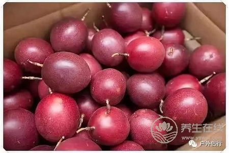 吃百香果有什么好處?百香果禁忌人群有哪些?-易網<a href=http://www.xllyou.com/ target=_blank class=infotextkey>健康養生</a>網 吃百香果有什么好處?百香果禁忌人群有哪些?