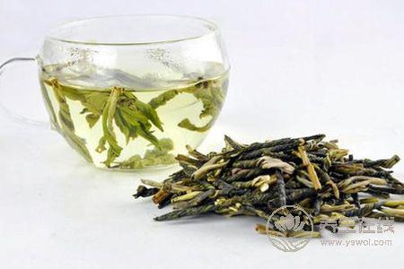 喝苦丁茶有什么好處?苦丁茶功效是什么?