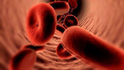 血管堵塞會導致頭部有四種情況出現-易網健康<a href=http://www.xllyou.com/jkys/ target=_blank class=infotextkey>養生</a>網 血管堵塞會導致頭部有四種情況出現