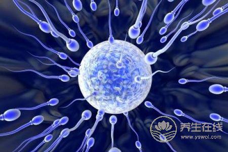 精子有什么好處?精子有什么功效?-易網(wǎng)健康養(yǎng)生網(wǎng) 精子有什么好處?精子有什么功效?