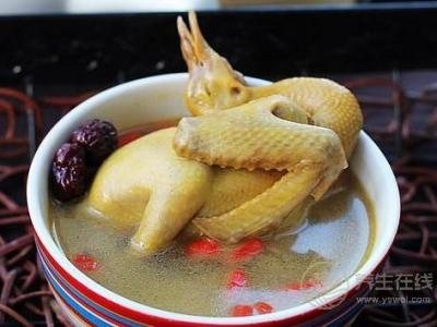 鴿子湯怎么燉最營養 鴿子湯的做法