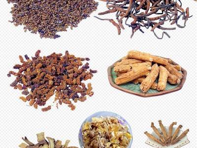 哪些中藥可以比較有效的抑制癌細胞-易網健康<a href=http://www.xllyou.com/jkys/ target=_blank class=infotextkey>養生</a>網 哪些中藥可以比較有效的抑制癌細胞