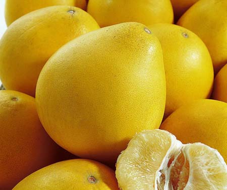 吃柚子的時候不能和哪些藥物一起吃-易網健康<a href=http://www.xllyou.com/jkys/ target=_blank class=infotextkey>養生</a>網 吃柚子的時候不能和哪些藥物一起吃