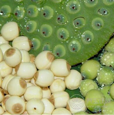 如何才能獲得更好的排毒養(yǎng)顏效果-易網健康養(yǎng)生網 如何才能獲得更好的排毒養(yǎng)顏效果