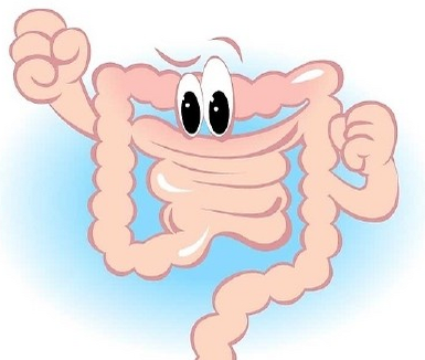 想要預防腸炎需要注意事項有哪些-易網健康<a href=http://www.xllyou.com/jkys/ target=_blank class=infotextkey>養生</a>網 想要預防腸炎需要注意事項有哪些