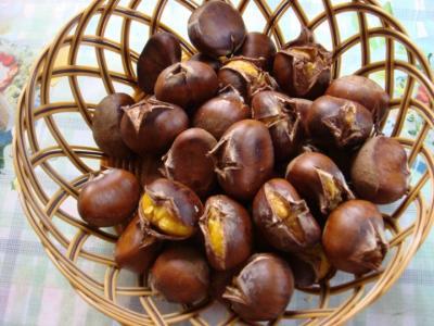 秋天吃栗子怎么吃能益氣健脾美容養(yǎng)顏