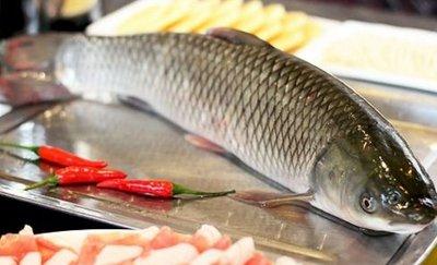 草魚(yú)應(yīng)該怎么做給寶寶吃營(yíng)養(yǎng)更好