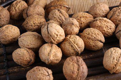 哪些身體情況以及病情的時候不能吃核桃-易網健康<a href=http://www.xllyou.com/jkys/ target=_blank class=infotextkey>養生</a>網 哪些身體情況以及病情的時候不能吃核桃