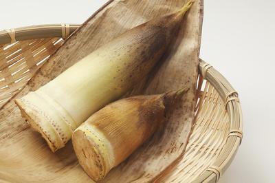 冬筍的營養以及冬筍的功效與作用-易網健康<a href=http://www.xllyou.com/jkys/ target=_blank class=infotextkey>養生</a>網 冬筍的營養以及冬筍的功效與作用