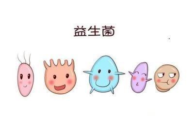 寶寶脹氣的話吃一些益生菌有用嗎
