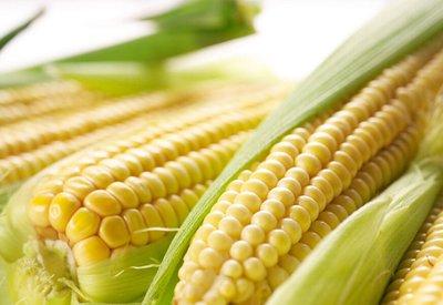 生玉米粒的做法大全玉米?？梢栽趺醋?  style=
