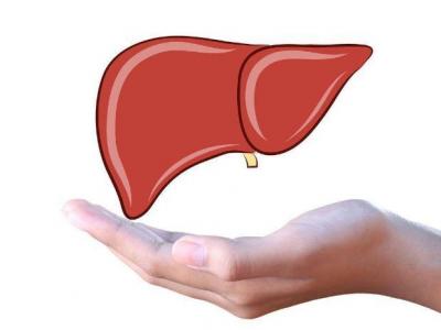 這四種食物平時多吃飲食養肝不再難