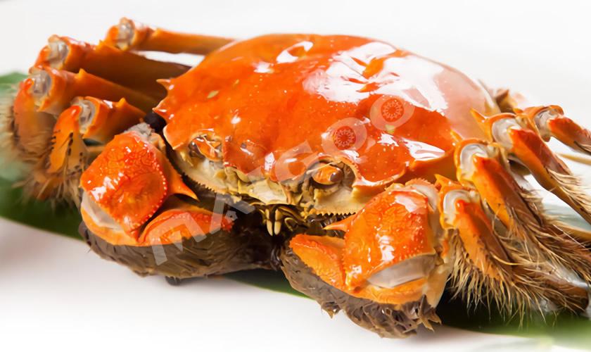 清蒸大閘蟹蒸幾分鐘口感最好還能篜熟-易網(wǎng)健康<a href=http://www.xllyou.com/jkys/ target=_blank class=infotextkey>養(yǎng)生</a>網(wǎng) 清蒸大閘蟹蒸幾分鐘口感最好還能篜熟