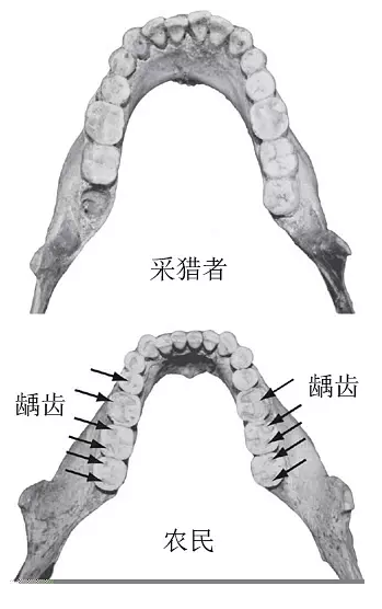 換種吃法更健康：什么是“原始飲食”？