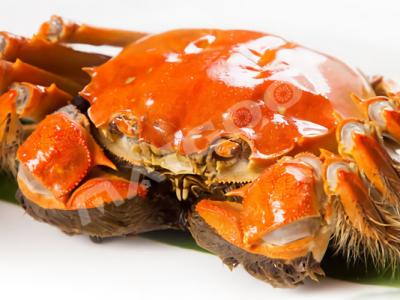 清蒸大閘蟹蒸幾分鐘口感最好還能篜熟