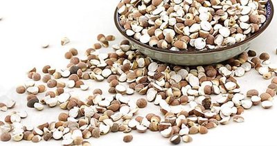 喝祛濕中藥起到祛濕效果時的排濕反應-易網健康<a href=http://www.xllyou.com/jkys/ target=_blank class=infotextkey>養生</a>網 喝祛濕中藥起到祛濕效果時的排濕反應