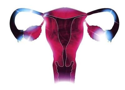 專家教你如何挑選內(nèi)褲保護(hù)子宮的健康-易網(wǎng)健康<a href=http://www.xllyou.com/jkys/ target=_blank class=infotextkey>養(yǎng)生</a>網(wǎng) 專家教你如何挑選內(nèi)褲保護(hù)子宮的健康