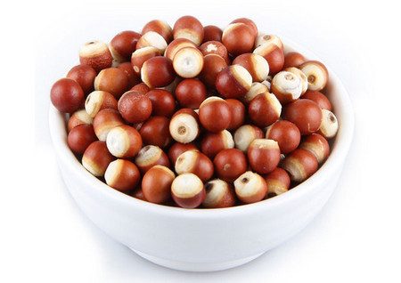 芡實的功效芡實一天吃多少顆比較好-易網<a href=http://www.xllyou.com/ target=_blank class=infotextkey>健康養(yǎng)生</a>網 芡實的功效芡實一天吃多少顆比較好