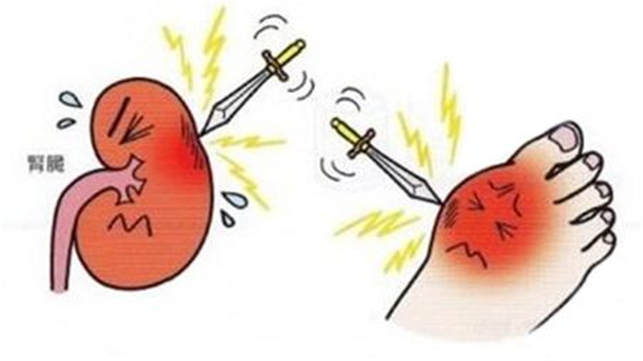 身體沒有出現這五個表現說明你腎臟不錯-易網健康<a href=http://www.xllyou.com/jkys/ target=_blank class=infotextkey>養生</a>網 身體沒有出現這五個表現說明你腎臟不錯