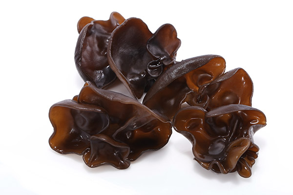 詳解木耳的藥用功效-易網<a href=http://www.xllyou.com/ target=_blank class=infotextkey>健康養生</a>網 詳解木耳的藥用功效