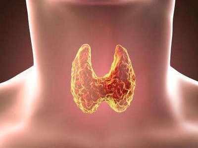 甲亢與哪些因素相關甲亢患者需要注意哪些方面-易網健康<a href=http://www.xllyou.com/jkys/ target=_blank class=infotextkey>養生</a>網 甲亢與哪些因素相關甲亢患者需要注意哪些方面