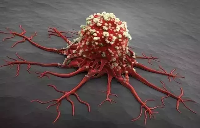 想要抑制癌細胞的增殖應該服用什么中藥-易網健康<a href=http://www.xllyou.com/jkys/ target=_blank class=infotextkey>養生</a>網 想要抑制癌細胞的增殖應該服用什么中藥