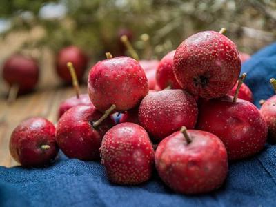 山楂的養生藥用功效 山楂對身體有什么好處