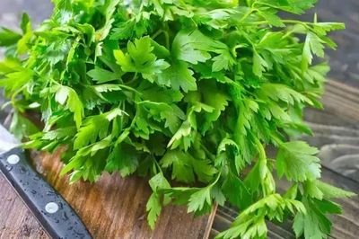 香菜榨汁有哪些不同的功效與作用-易網(wǎng)健康<a href=http://www.xllyou.com/jkys/ target=_blank class=infotextkey>養(yǎng)生</a>網(wǎng) 香菜榨汁有哪些不同的功效與作用