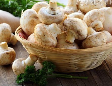 冬天寒冷皮膚出現(xiàn)干裂問題如何恢復(fù)-易網(wǎng)<a href=http://www.xllyou.com/ target=_blank class=infotextkey>健康養(yǎng)生</a>網(wǎng) 冬天寒冷皮膚出現(xiàn)干裂問題如何恢復(fù)