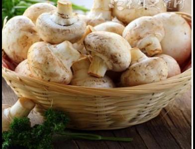 適合中老年人冬季養生的食物有哪些