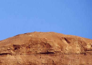 適合抑郁焦慮人群春天茶飲有哪些-易網健康<a href=http://www.xllyou.com/jkys/ target=_blank class=infotextkey>養生</a>網 適合抑郁焦慮人群春天茶飲有哪些