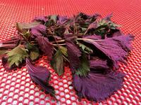 這幾款茶和粥,幫你健脾養胃化痰止咳!-易網<a href=http://www.xllyou.com/ target=_blank class=infotextkey>健康養生</a>網 這幾款茶和粥,幫你健脾養胃化痰止咳!